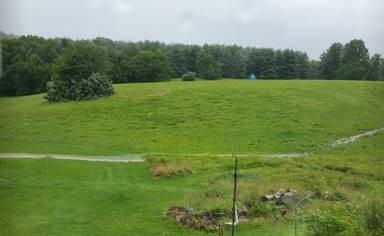 green-pasture-hills